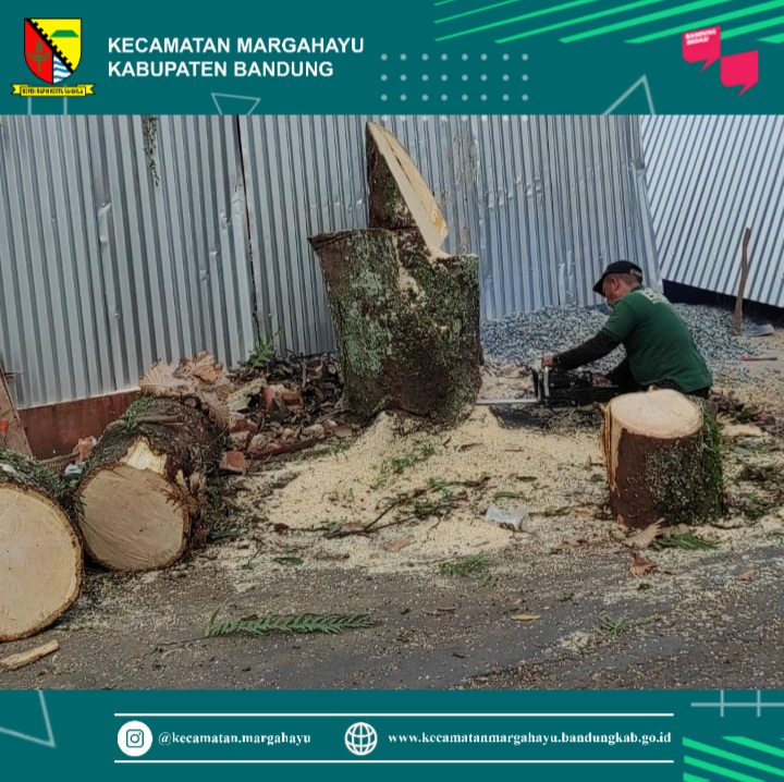 giat-hari-ke-2-penebangan-pohon-di-kopo-permai-desa-sukamenak-19-05-2022