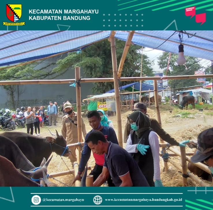 giat-pemeriksaan-hewan-qurban-bersama-tim-puskeswan-dinas-pertanian-hasil-pemeriksaan-tidak-ada-gejala-terkena-penyakit-mulut-dan-kuku-25-05-2022